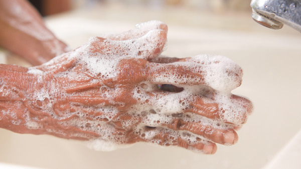 South Carolina Food Handler Training